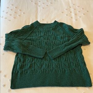 Aerie Forest Green Cable Knit Sweater